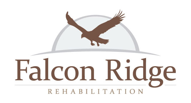 falcon ridge rehab