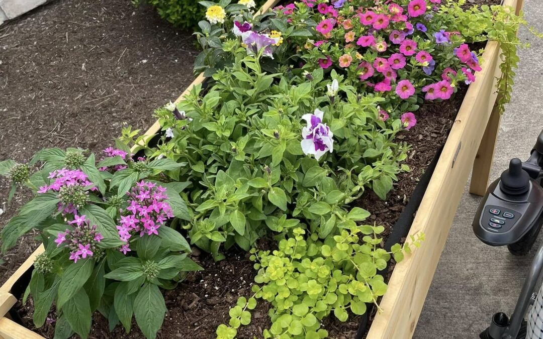 Outdoor Gardening